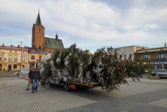 cd przewóz choinki (fot. M. Hadała)